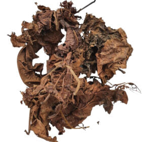 FEUILLES DE DJEKA